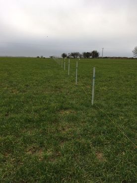 Chainlink fencing