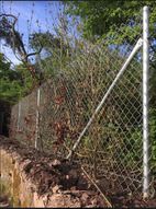 Concrete and Chainlink fencing