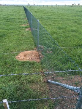 Chainlink of a fence installed in a field
