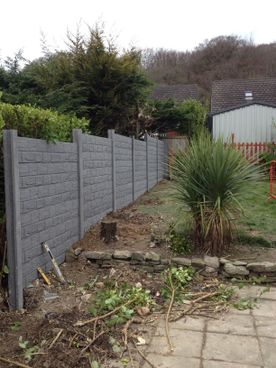 Concrete panel fencing in Cork Garden