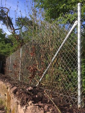 Chainlink Fencing in Cork